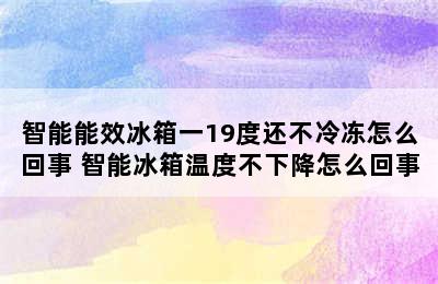 智能能效冰箱一19度还不冷冻怎么回事 智能冰箱温度不下降怎么回事